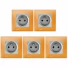 LOTde 5 Prises 2P+T Silver Delta Viva + Plaques Orange - SIEMENS - SIEMENS