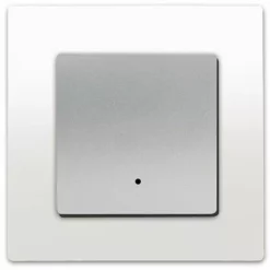 Va Et Vient à Voyant Silver Delta Viva + Plaque Blanc - SIEMENS - SIEMENS