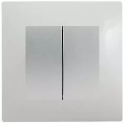 Double Va Et Vient Silver Delta Viva + Plaque Gris - SIEMENS - SIEMENS