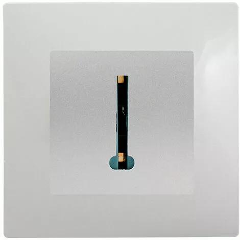 Prise Téléphone Silver Delta Viva + Plaque Gris - SIEMENS - SIEMENS 1 Prise Téléphone Silver Delta Viva + Plaque Gris - SIEMENS - SIEMENS