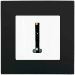 Prise Téléphone Blanc Delta Viva + Plaque Noir - SIEMENS - SIEMENS