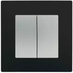 Double Va Et Vient Silver Delta Viva + Plaque Noir - SIEMENS - SIEMENS