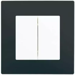 Double Va-et-Vient Blanc Delta Viva + Plaque Anthracite - SIEMENS - SIEMENS