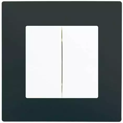 Double Va-et-Vient Blanc Delta Viva + Plaque Anthracite - SIEMENS - SIEMENS 1 Double Va-et-Vient Blanc Delta Viva + Plaque Anthracite - SIEMENS - SIEMENS