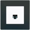 Prise RJ45 Blanc Delta Viva + Plaque Anthracite - SIEMENS - SIEMENS