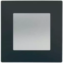 Poussoir Silver Delta Viva + Plaque Anthracite - SIEMENS - SIEMENS