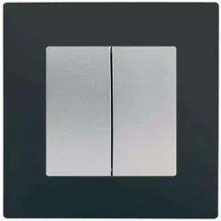 Double Va Et Vient Silver Delta Viva + Plaque Anthracite - SIEMENS - SIEMENS