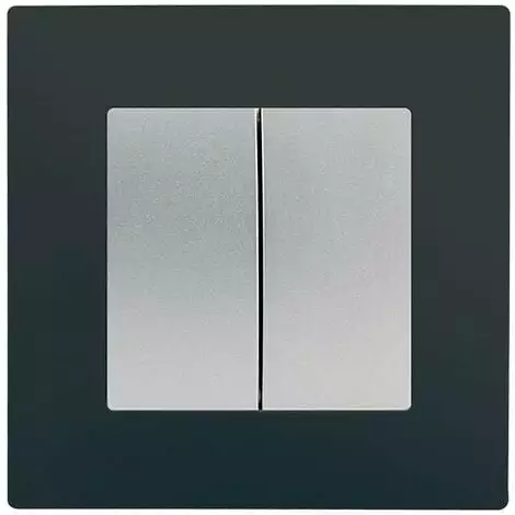 Double Va Et Vient Silver Delta Viva + Plaque Anthracite - SIEMENS - SIEMENS 1 Double Va Et Vient Silver Delta Viva + Plaque Anthracite - SIEMENS - SIEMENS