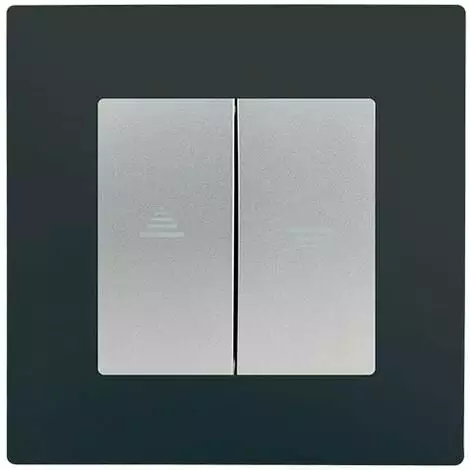 Interrupteur Volet Roulant Silver Delta Viva + Plaque Anthracite - SIEMENS - SIEMENS 1 Interrupteur Volet Roulant Silver Delta Viva + Plaque Anthracite - SIEMENS - SIEMENS