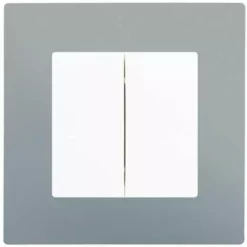 Double Va Et Vient Blanc Delta Viva + Plaque Silver - SIEMENS - SIEMENS