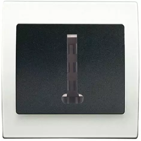 Prise Téléphone Gris Anthracite Delta Iris + Plaque Basic Blanc - SIEMENS - SIEMENS 1 Prise Téléphone Gris Anthracite Delta Iris + Plaque Basic Blanc - SIEMENS - SIEMENS