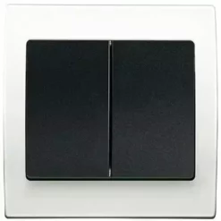 Double Va Et Vient Anthracite Delta Iris + Plaque Basic Blanc - SIEMENS - SIEMENS