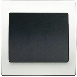 Va Et Vient Anthracite Delta Iris + Plaque Basic Blanc - SIEMENS - SIEMENS