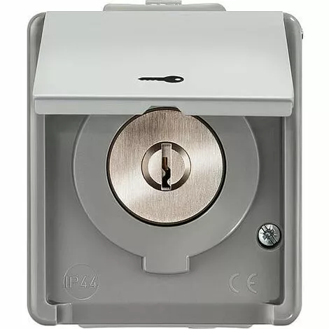 SIEMENS Interrupteur A Clé Pour Store Avec Symbole Clé 1 Pole 1 Pc 1 SIEMENS Interrupteur A Clé Pour Store Avec Symbole Clé 1 Pole 1 Pc