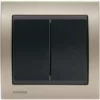 Double Poussoir Anthracite Delta Iris + Plaque Métal Champagne - SIEMENS - SIEMENS