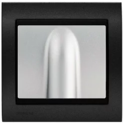 Sortie De Cable Silver Delta Iris + Plaque Métal Texturé Alu Noir - SIEMENS - SIEMENS